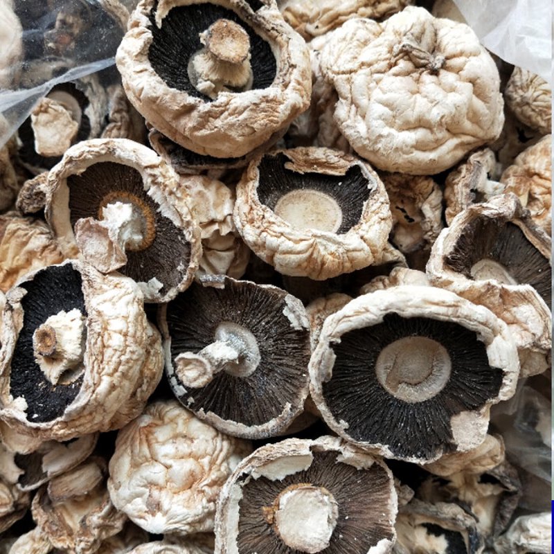 绿顺康贸易:长春市场的新活力
